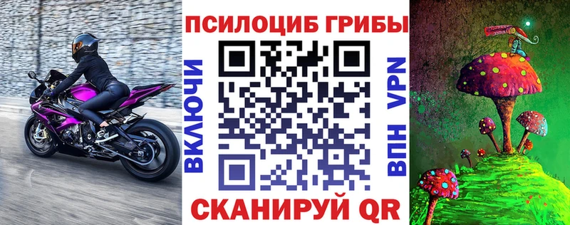 Псилоцибиновые грибы Psilocybe  Северо-Курильск 