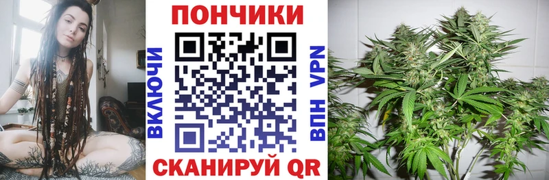 Бошки Шишки THC 21%  Северо-Курильск 